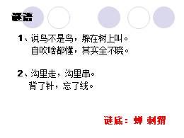 八年级上册20《蝉》名师优质课ppt课件