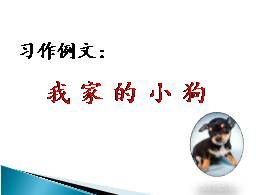 习作例文：我家的小狗教学课件（部编版）