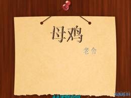 13母鸡优质教学课件（部编版）