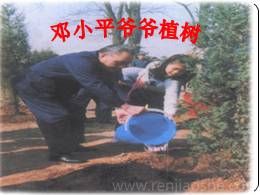 二年级下册语文4《邓小平爷爷植树》最新教研课件ppt