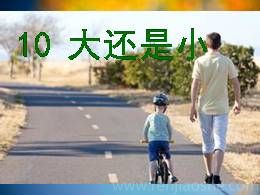 10《大还是小》优质教学课件（部编版）
