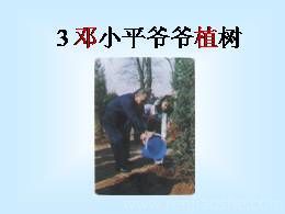 4《邓小平爷爷植树》名校名师PPT课件（部编版二年级下册）