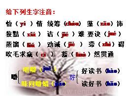 13.1《谈读书》优质教学课件（部编版）