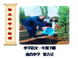 4《邓小平爷爷植树》优秀公开课ppt课件（二年级下册）