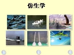 06.蝙蝠和雷达优秀公开课ppt课件（四年级上册）