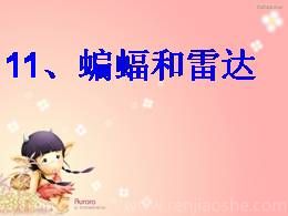 06.蝙蝠和雷达优质教学课件（部编版）