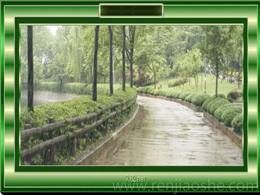 14昆明的雨公开课ppt课件（八年级上册）